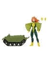 Miniatura 9