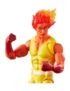 Miniatura 8