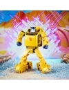 Miniatura 13