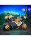Miniatura 11