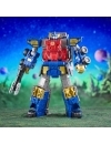 Miniatura 8