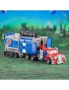 Miniatura 12