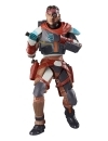 Miniatura 19