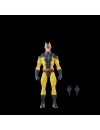 Miniatura 13