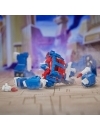 Miniatura 12