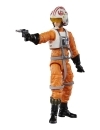 Miniatura 9