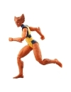 Miniatura 11