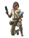 Miniatura 12