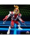 Miniatura 10