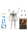 Miniatura 12