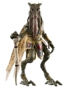 Miniatura 13