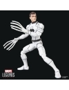 Miniatura 15
