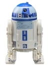 Miniatura 13